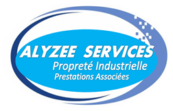 Alyzee Services